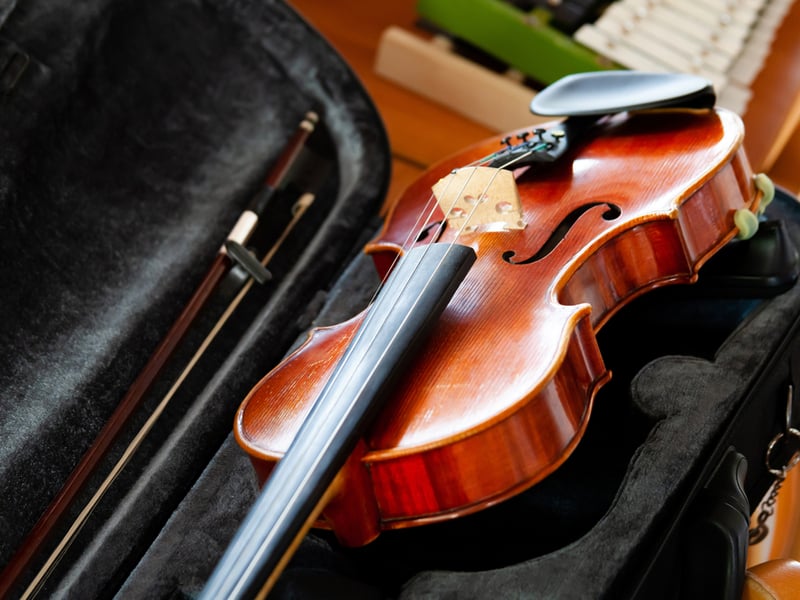 Photograph of a violin in a travel case.